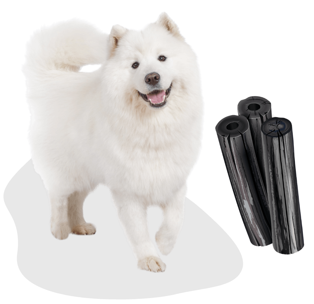 白い犬とチャコール